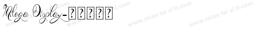 Mitoga Display字体转换